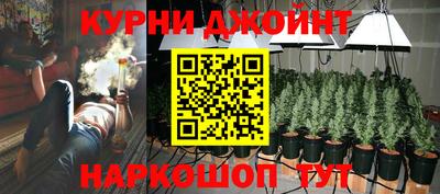 молекула духа Гатчина