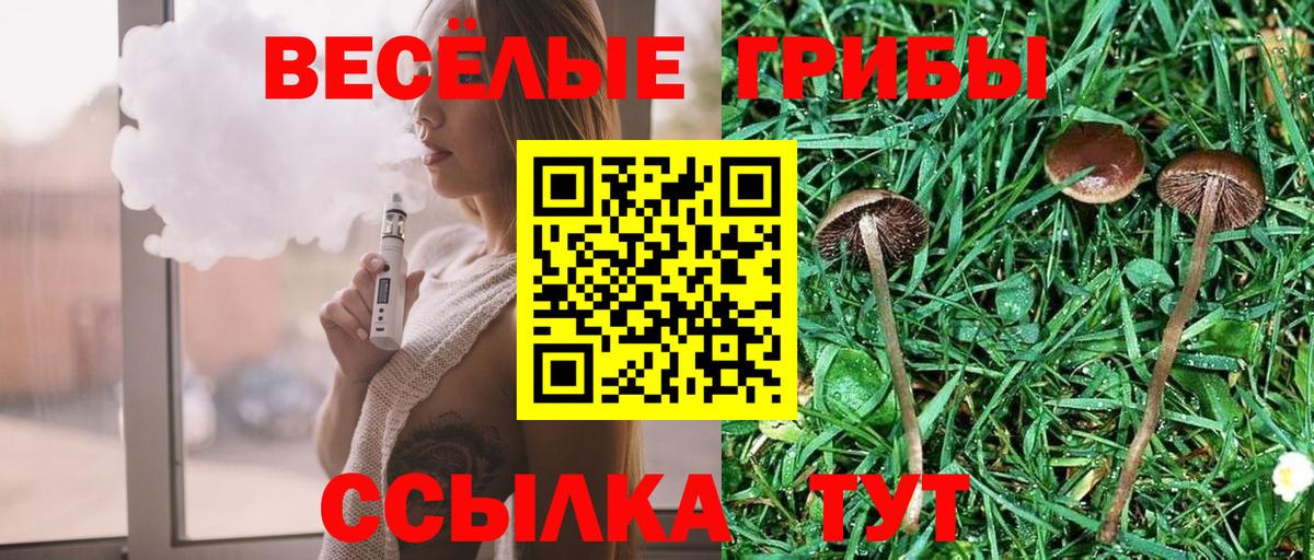 Псилоцибиновые грибы MAGIC MUSHROOMS  Галлюциногенные грибы Psilocybe  купить наркотик  Сочи  Вход с VPN 