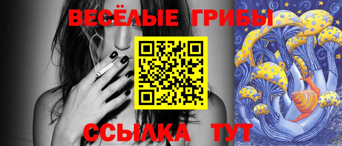 Псилоцибиновые грибы мицелий Сочи